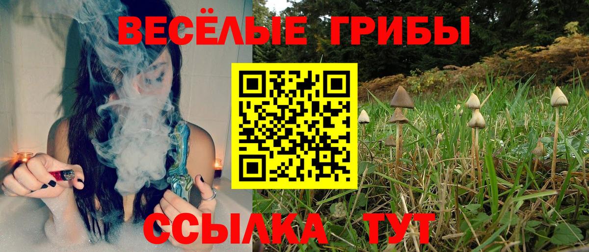 Псилоцибиновые грибы прущие грибы Кировск