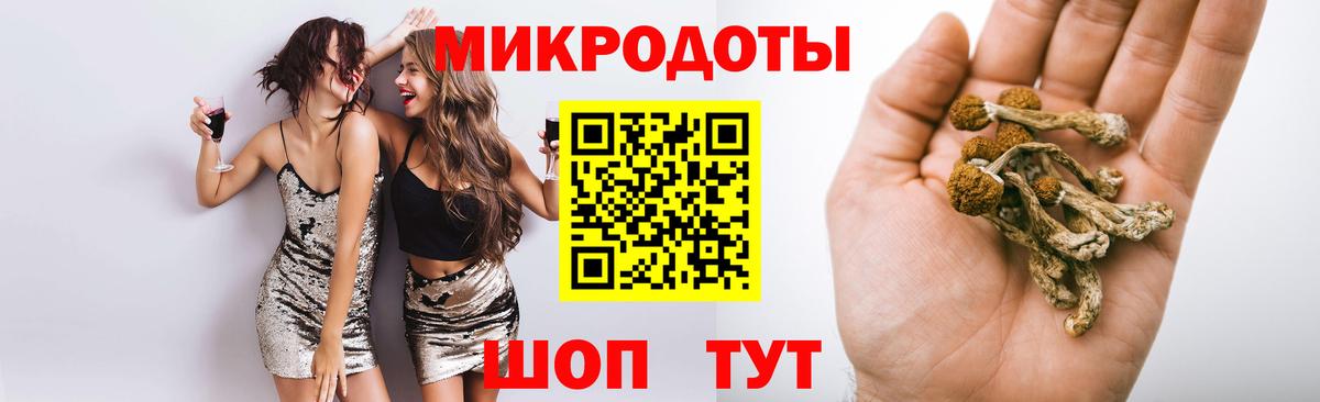 Кировск  Галлюциногенные грибы GOLDEN TEACHER  Вход с VPN  Галлюциногенные грибы Psilocybine cubensis 