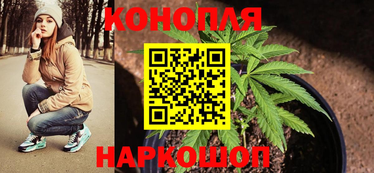 Каннабис индика Кировск